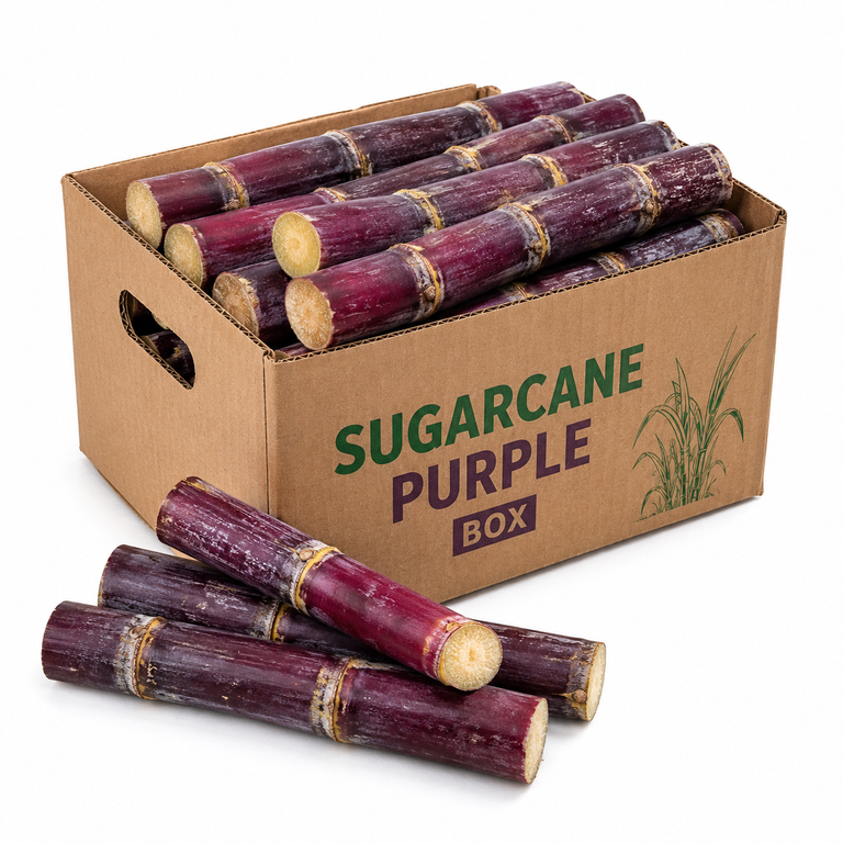 Sugarcane Purple (Box)